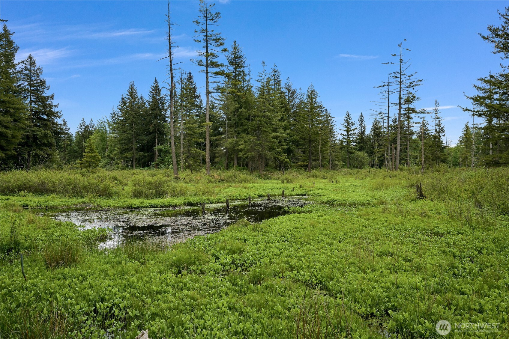 9954 Peace Road Property Photo 36