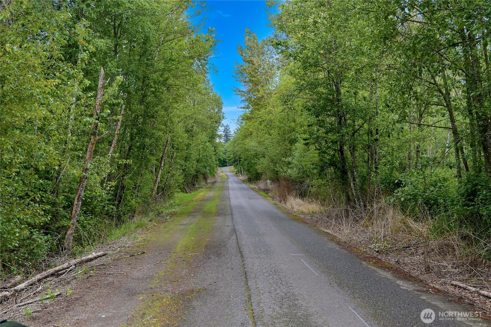 9954 Peace Road Property Photo 38
