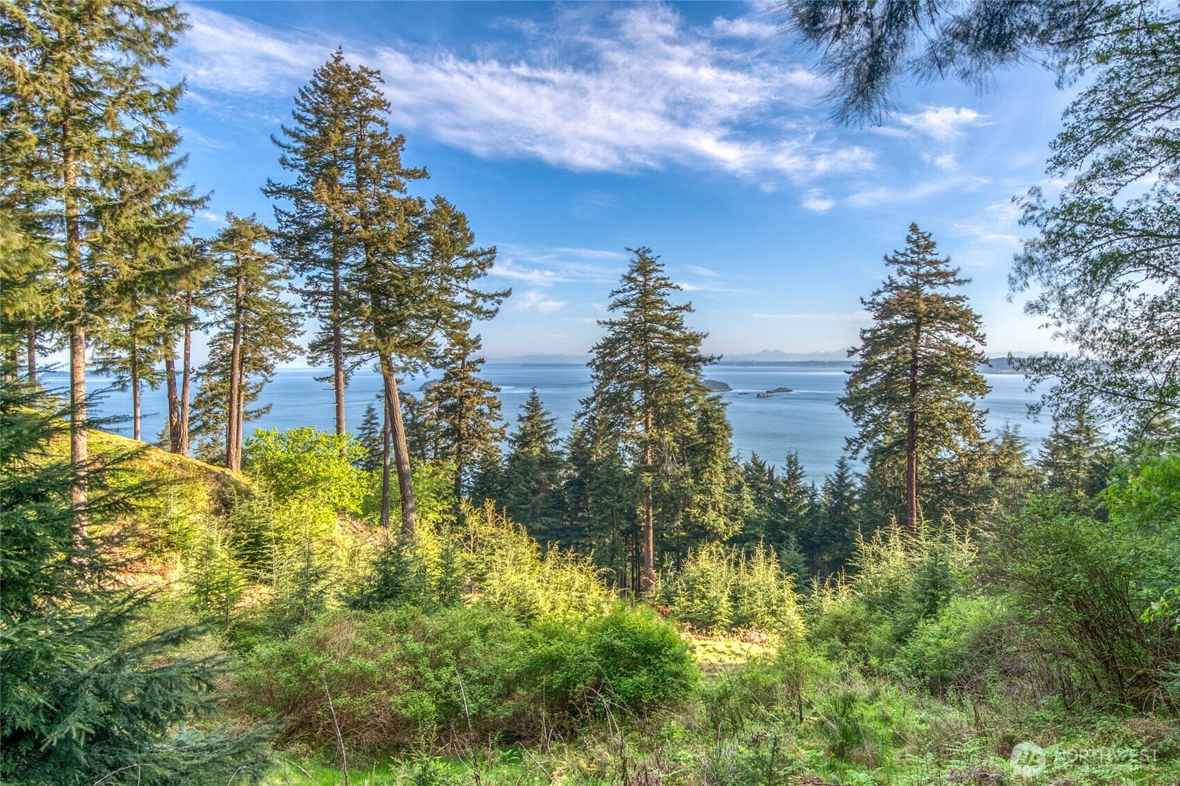 0 Lot 27 Georgia Strait Lane Property Photo 8