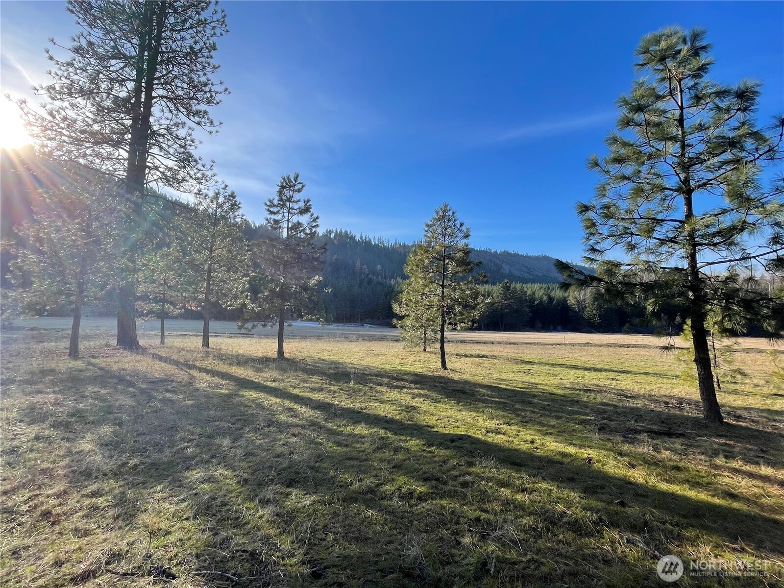 20 Domerie Park Loop Property Photo 17