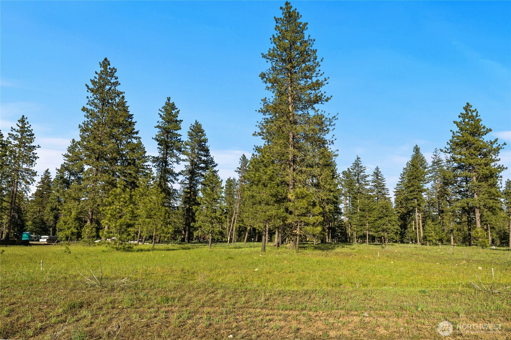 20 Domerie Park Loop Property Photo 19