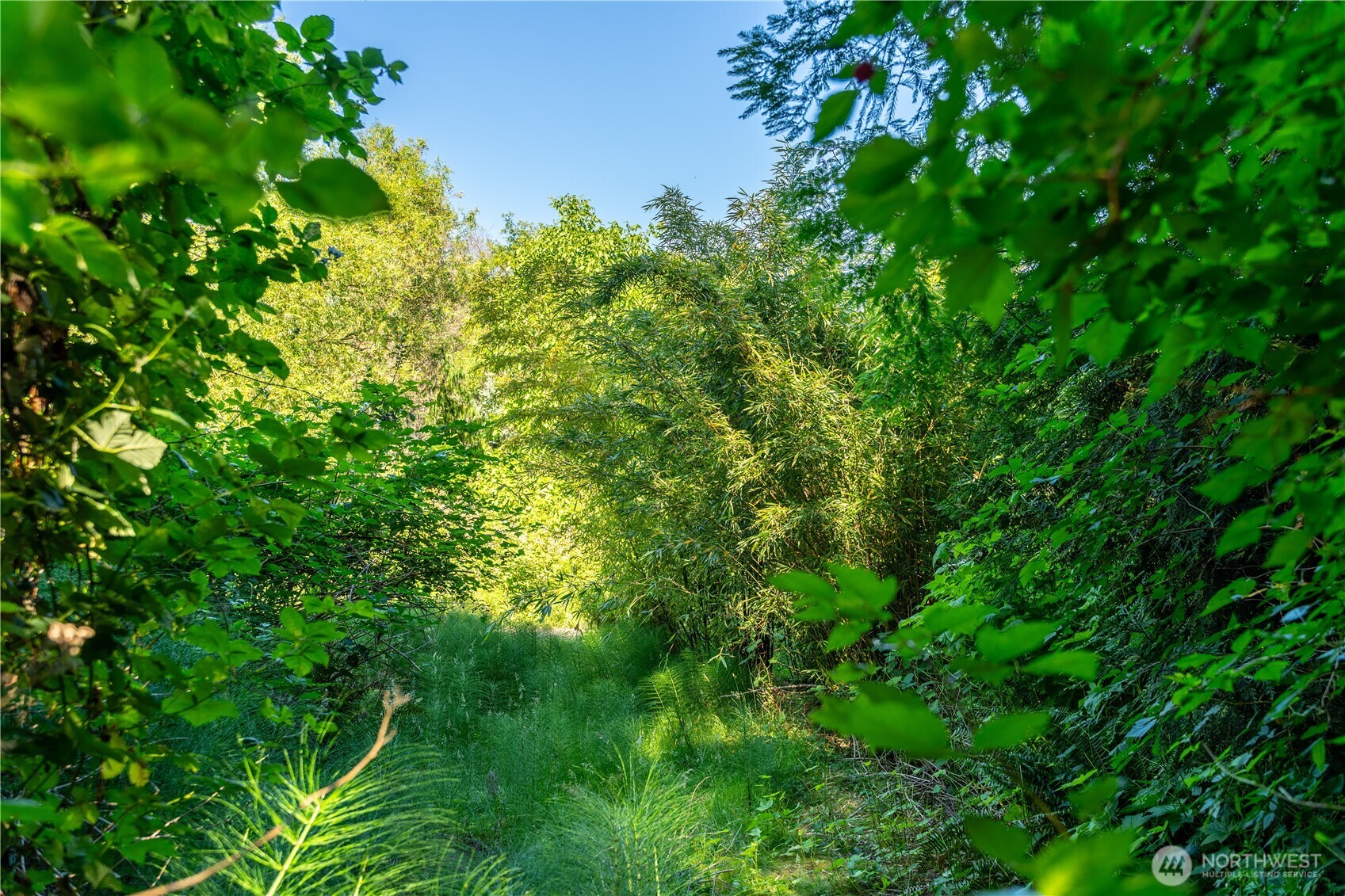 0 Heggeness Road Property Photo 15