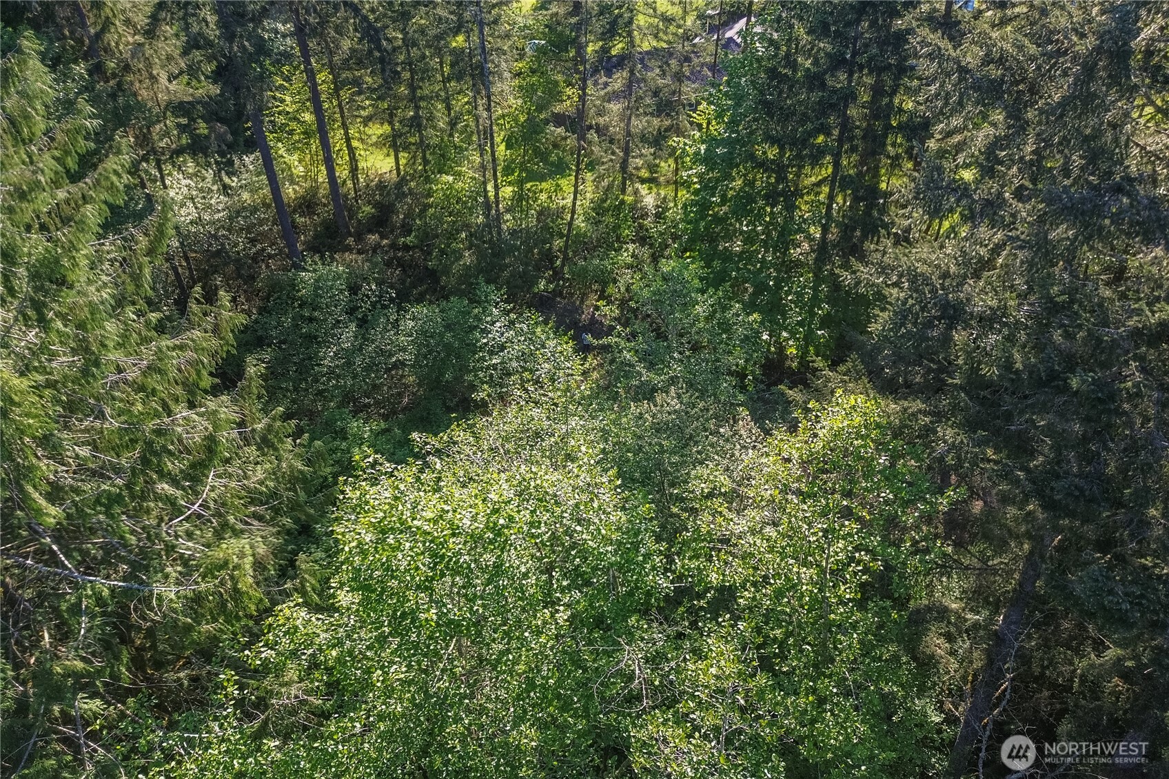 3021 Nw Beth Lane Property Photo 6