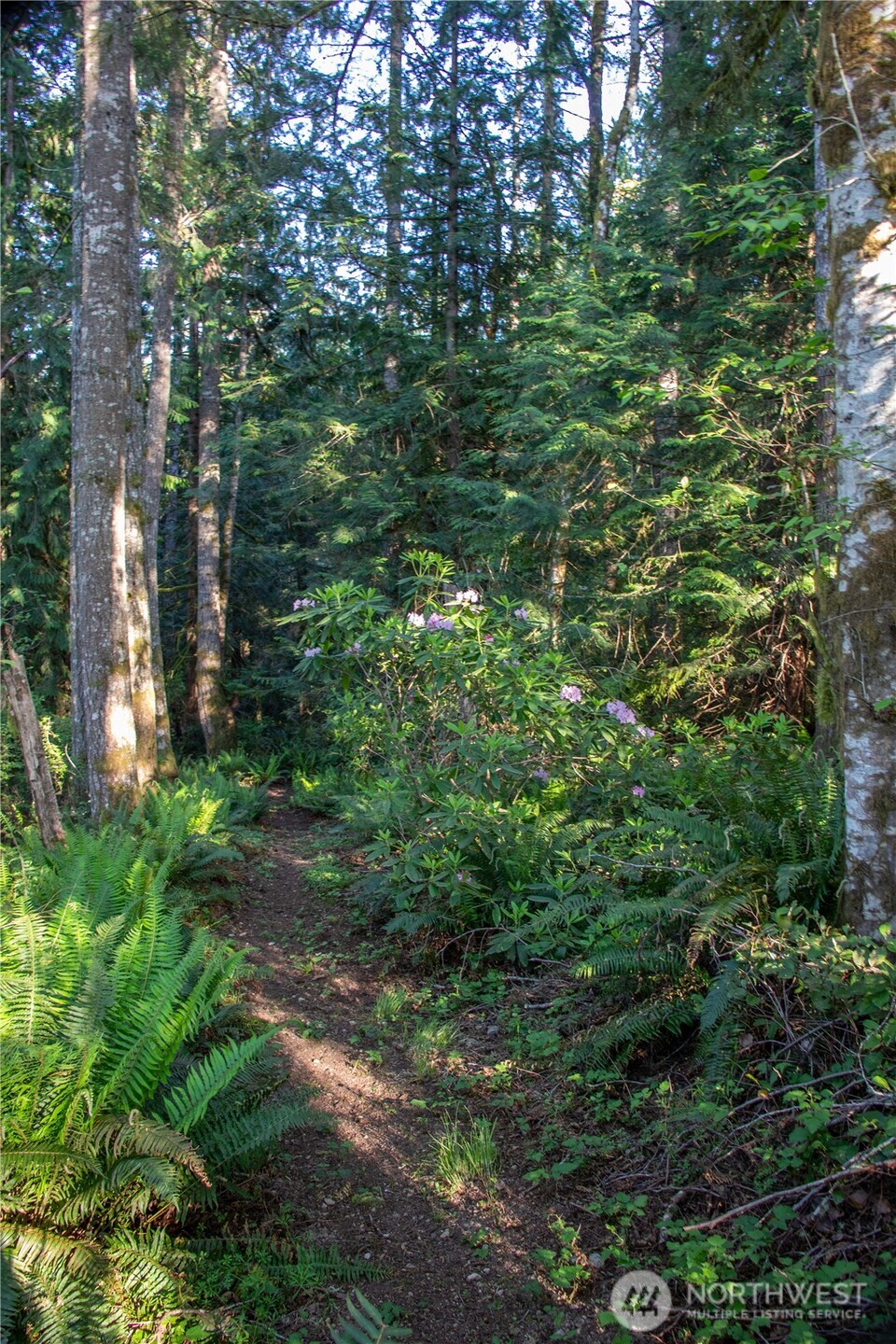 3021 Nw Beth Lane Property Photo 9