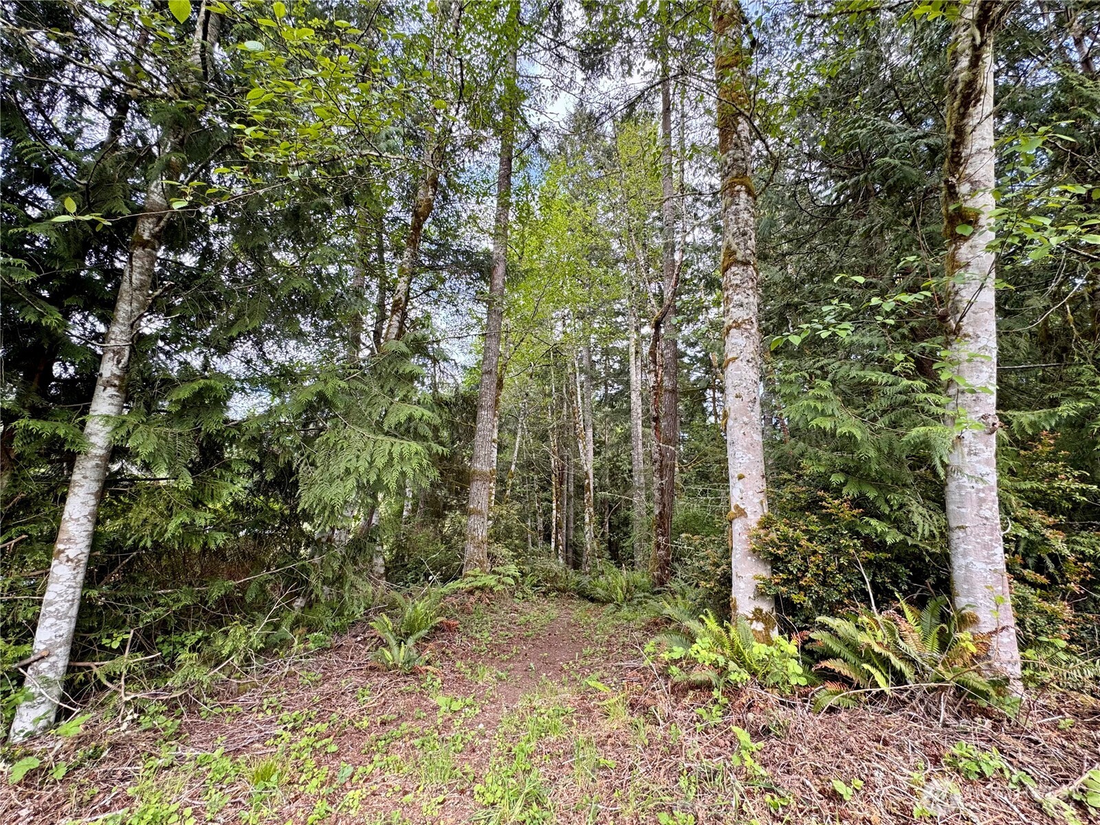 3021 Nw Beth Lane Property Photo 14
