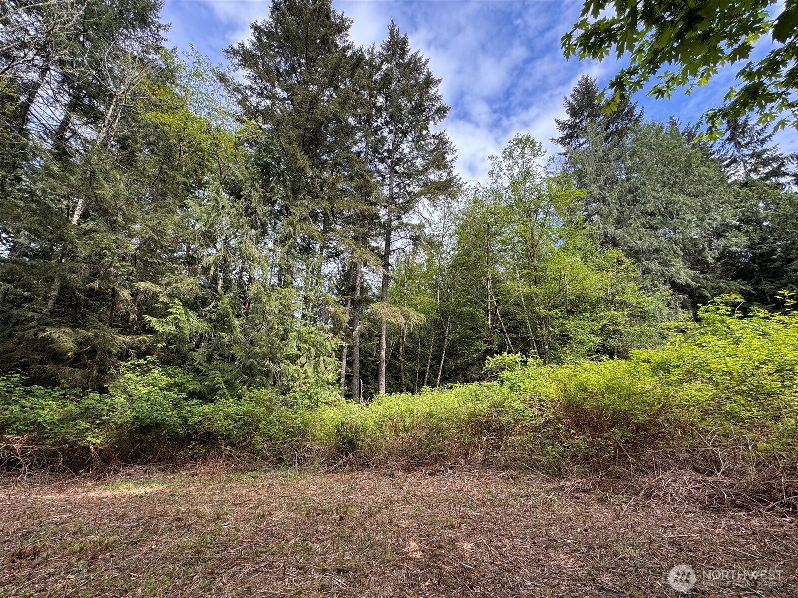 3021 Nw Beth Lane Property Photo 15