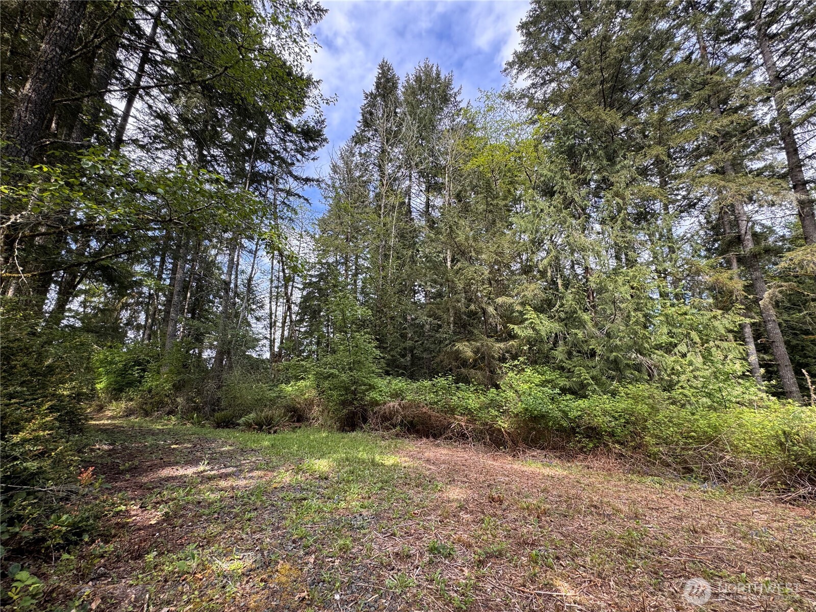 3021 Nw Beth Lane Property Photo 16