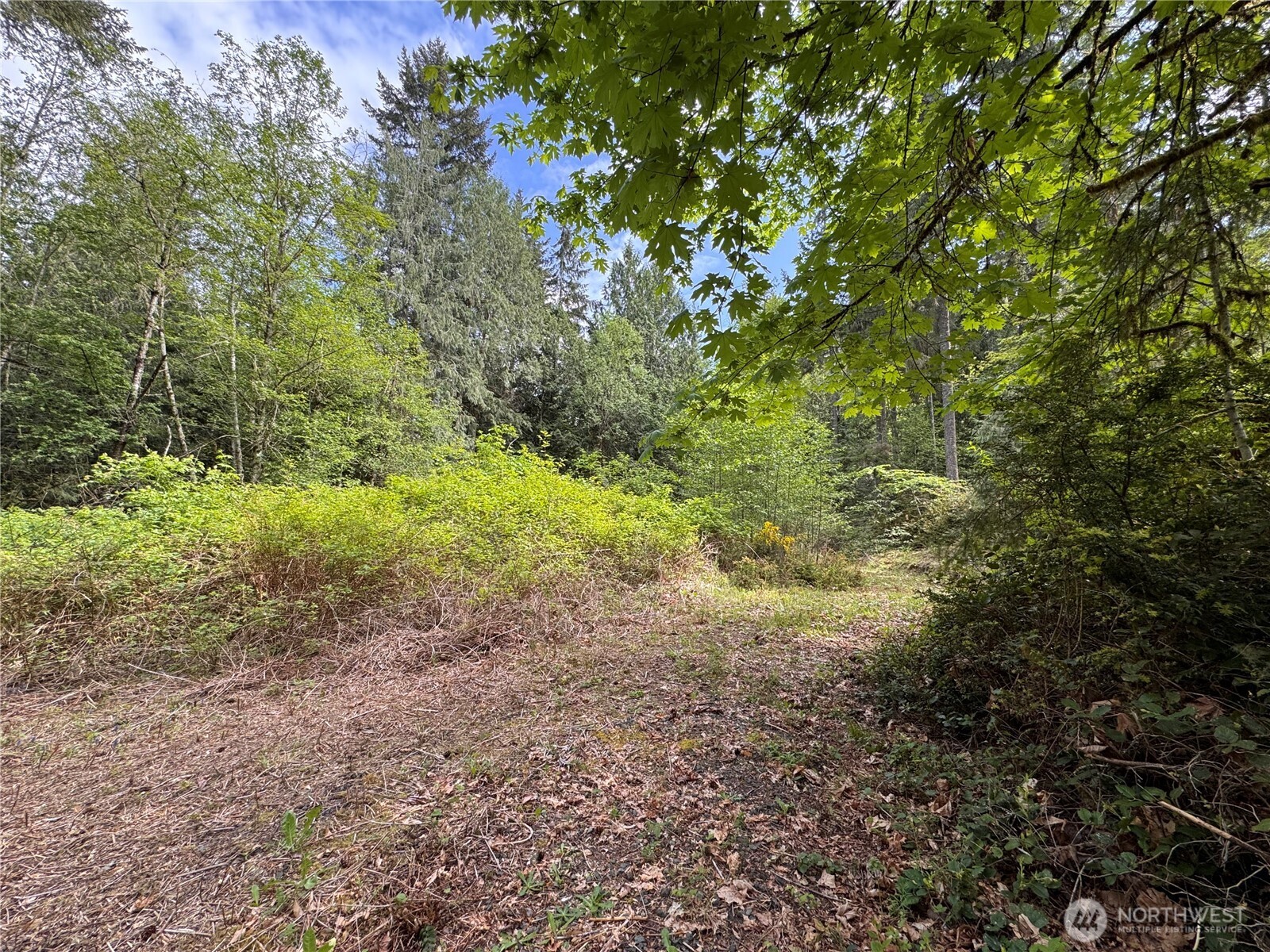 3021 Nw Beth Lane Property Photo 17