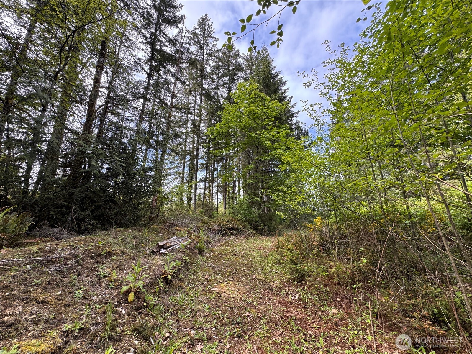 3021 Nw Beth Lane Property Photo 18