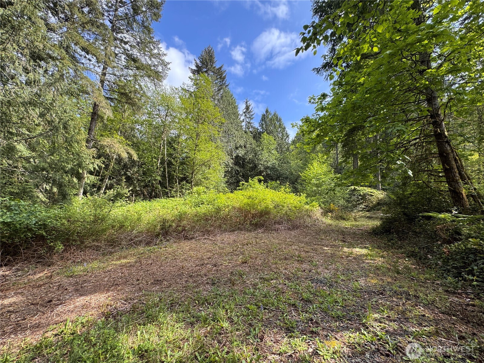 3021 Nw Beth Lane Property Photo 19
