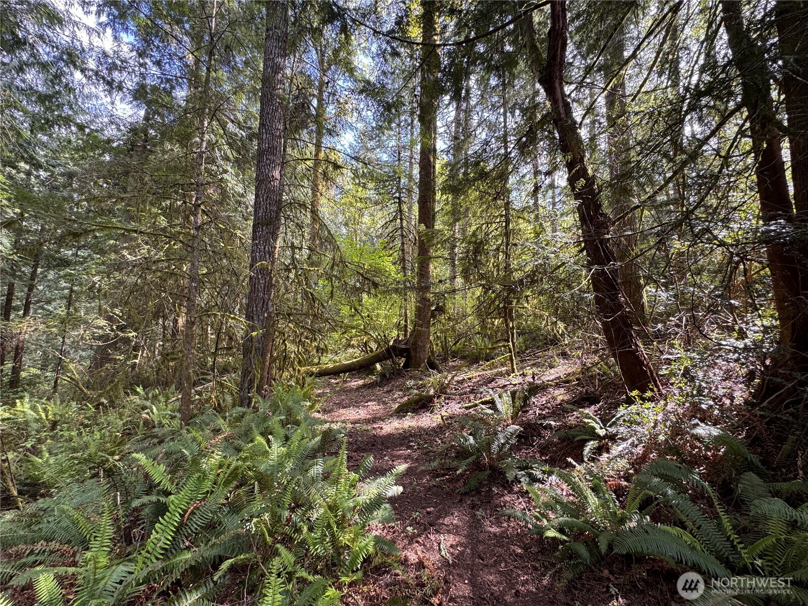 3021 Nw Beth Lane Property Photo 23