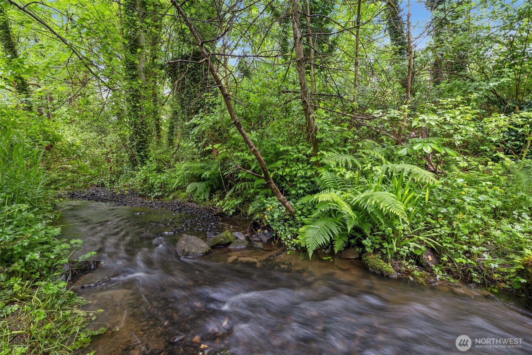 11019 Ne 140th Street Property Photo 35
