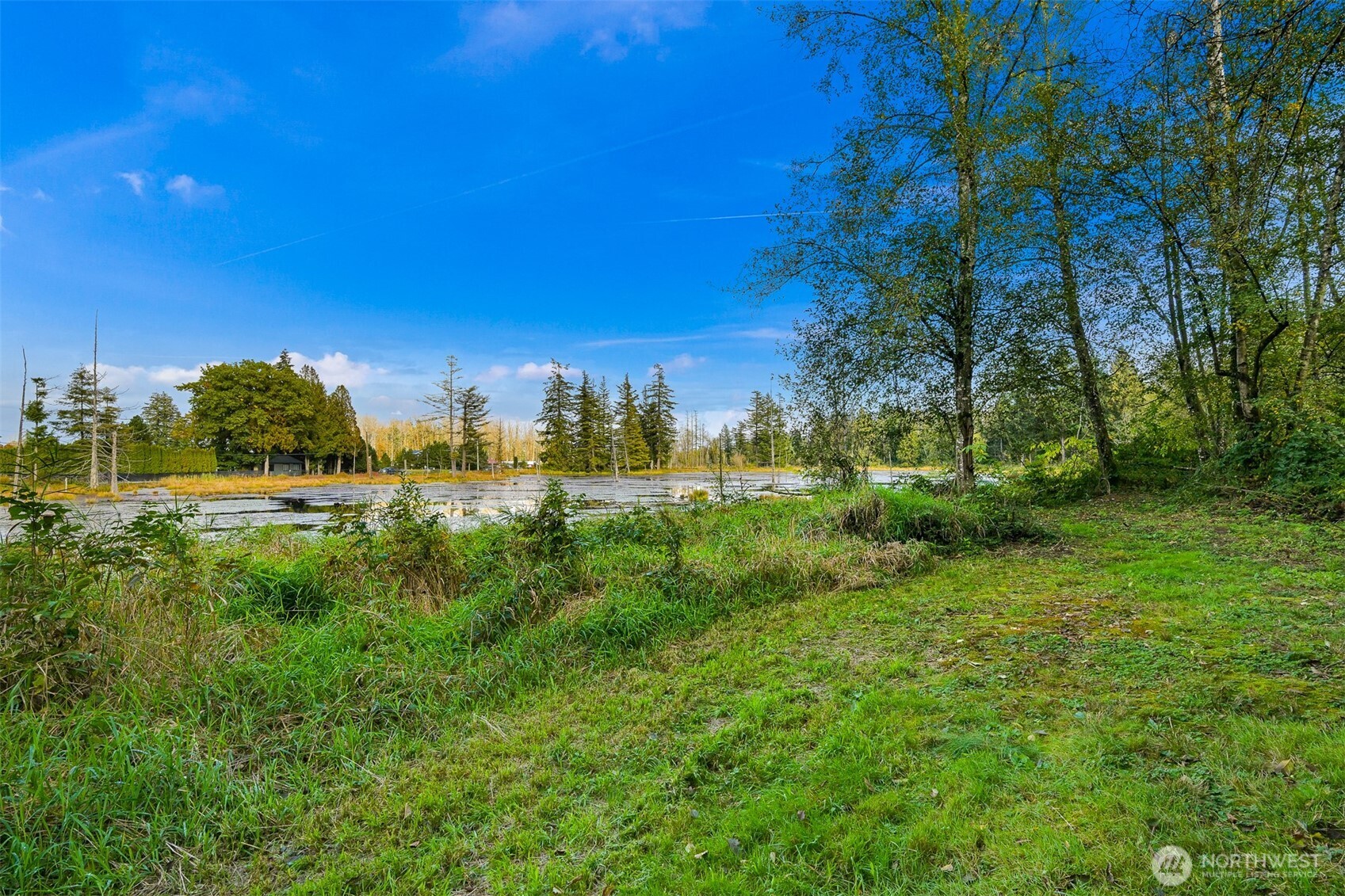9957 Peace Road Property Photo 37