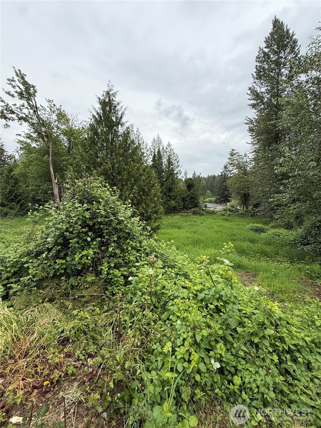 30836 3rd Avenue Property Photo 14