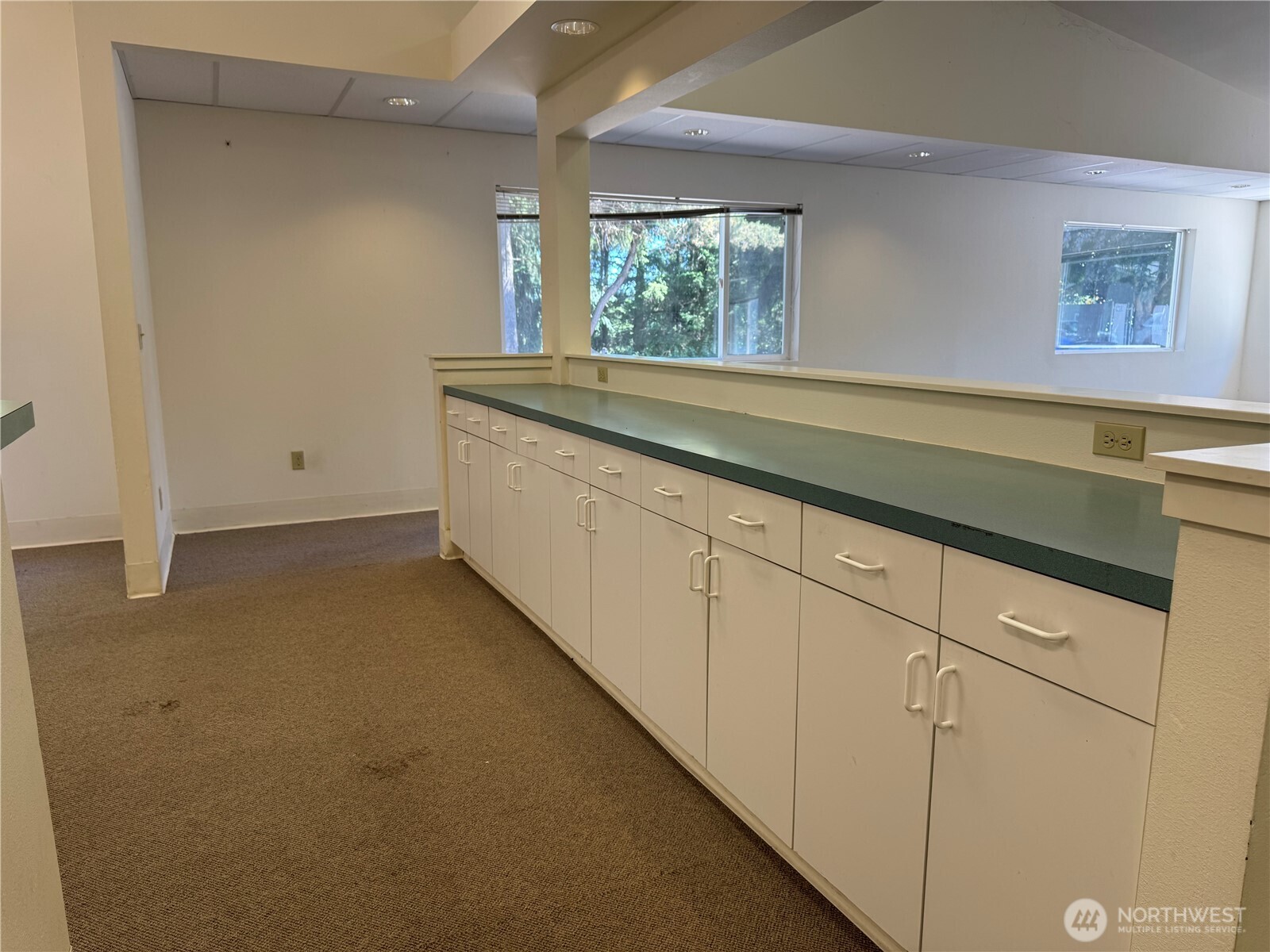 51 Colwell Street Property Photo 19