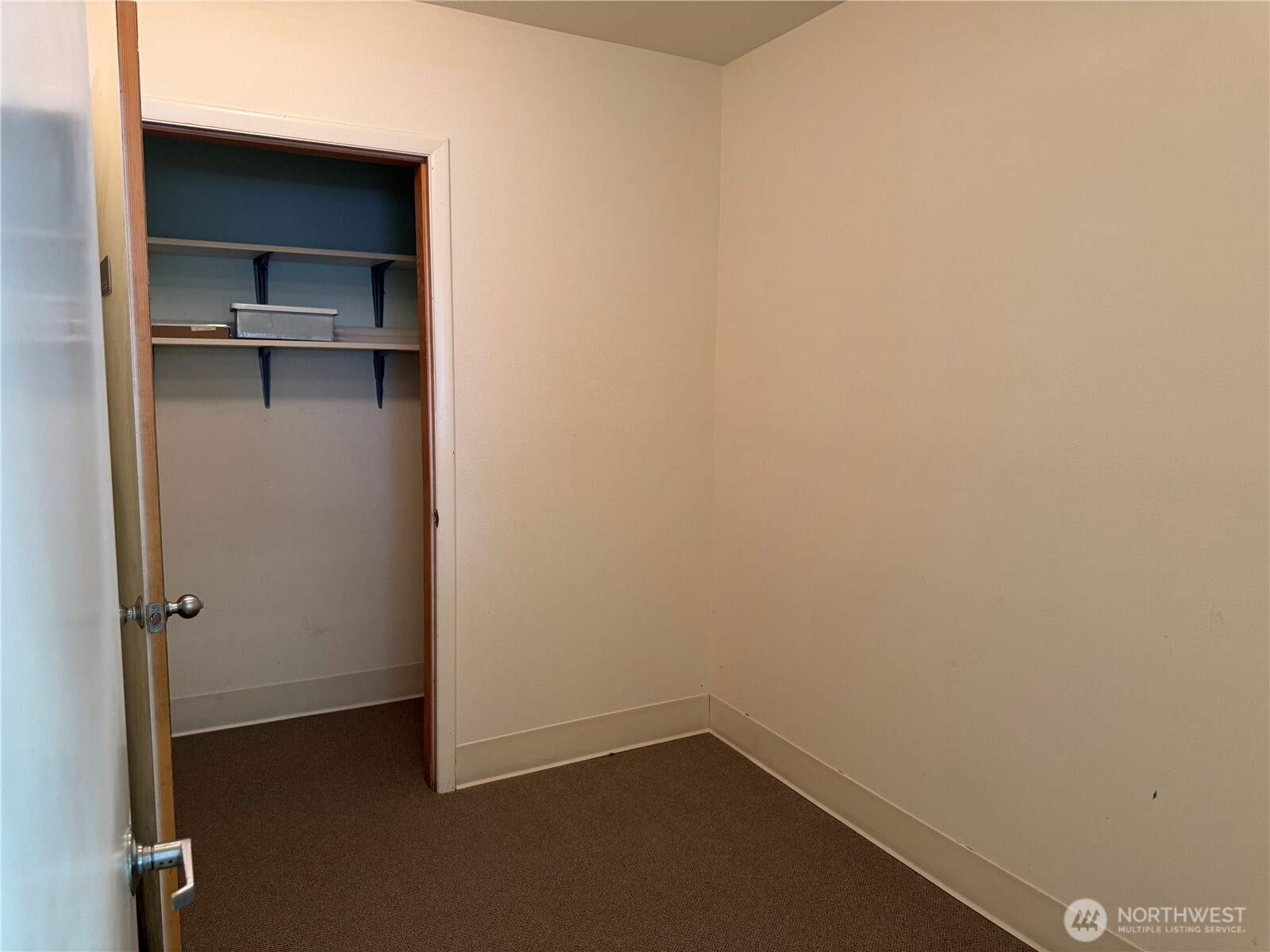 51 Colwell Street Property Photo 27