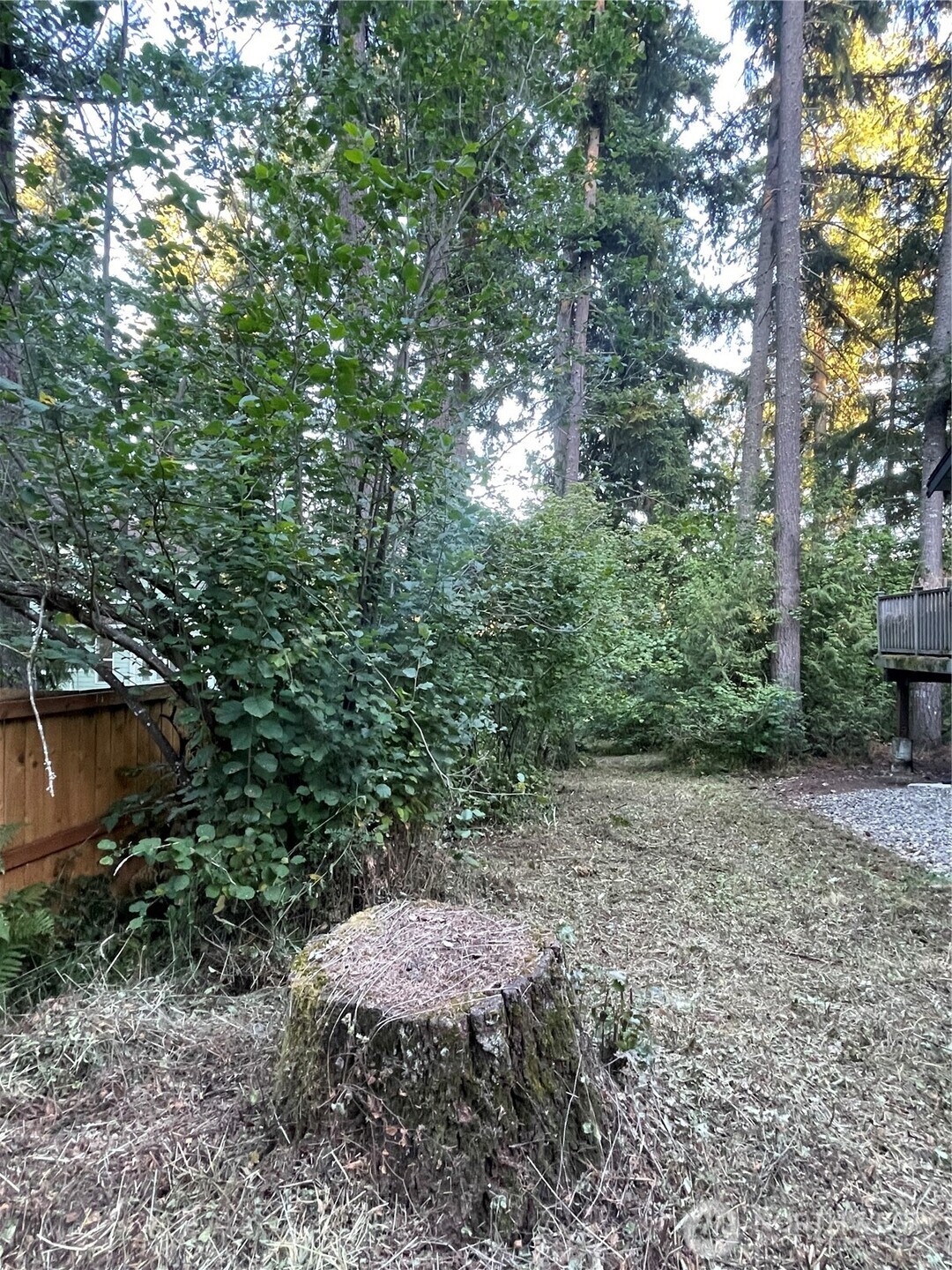 17616 Se Vine Ln Property Photo 4