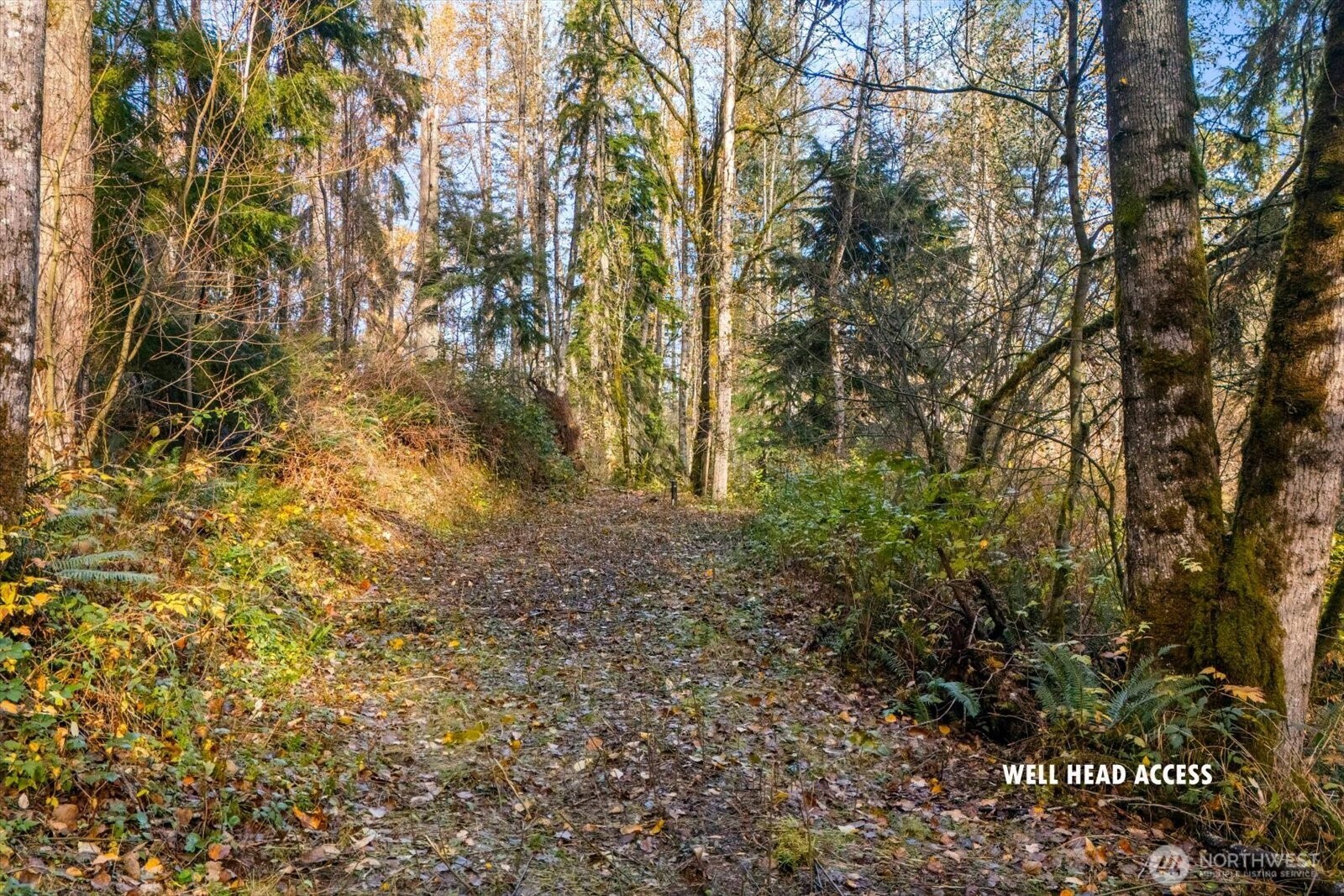 15 Xxx Brookside Place Property Photo 3