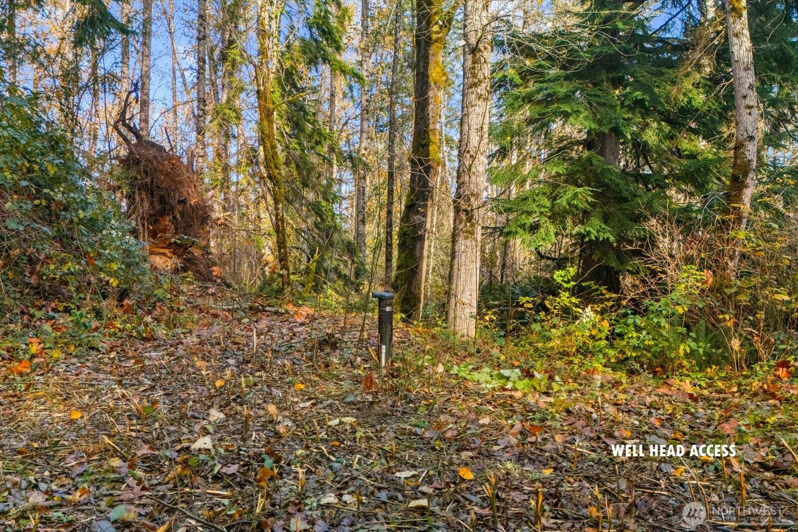 15 Xxx Brookside Place Property Photo 4