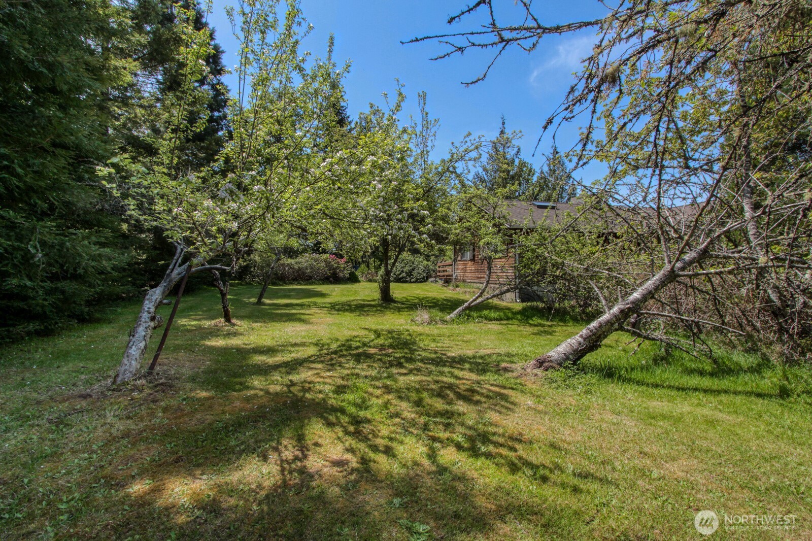 12426 Ne Philip Drive Property Photo 11