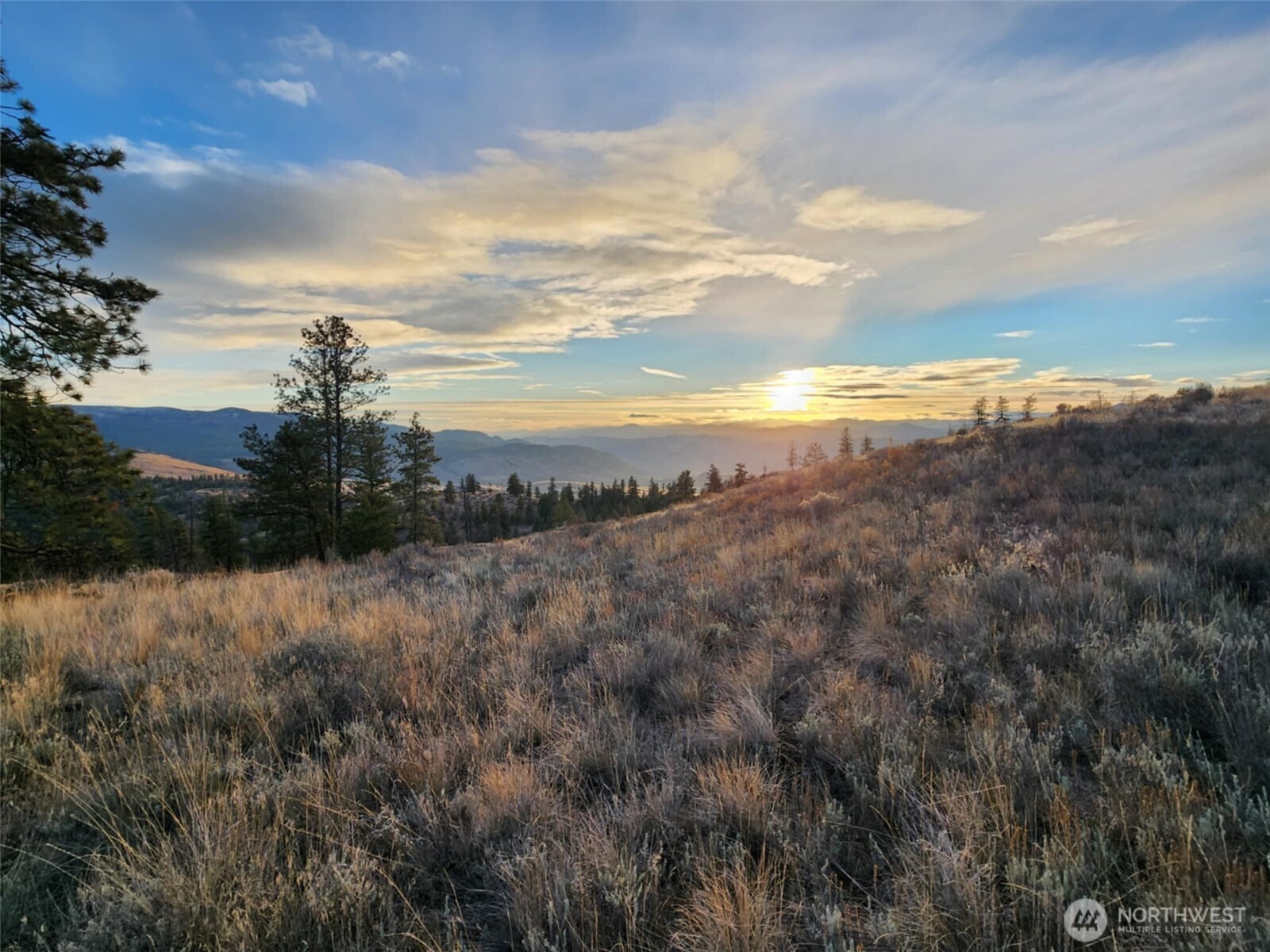 0 Blue Grouse (div 5, Lot 42) Property Photo 3