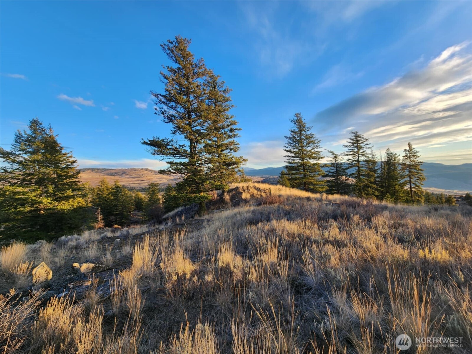 0 Blue Grouse (div 5, Lot 42) Property Photo 4