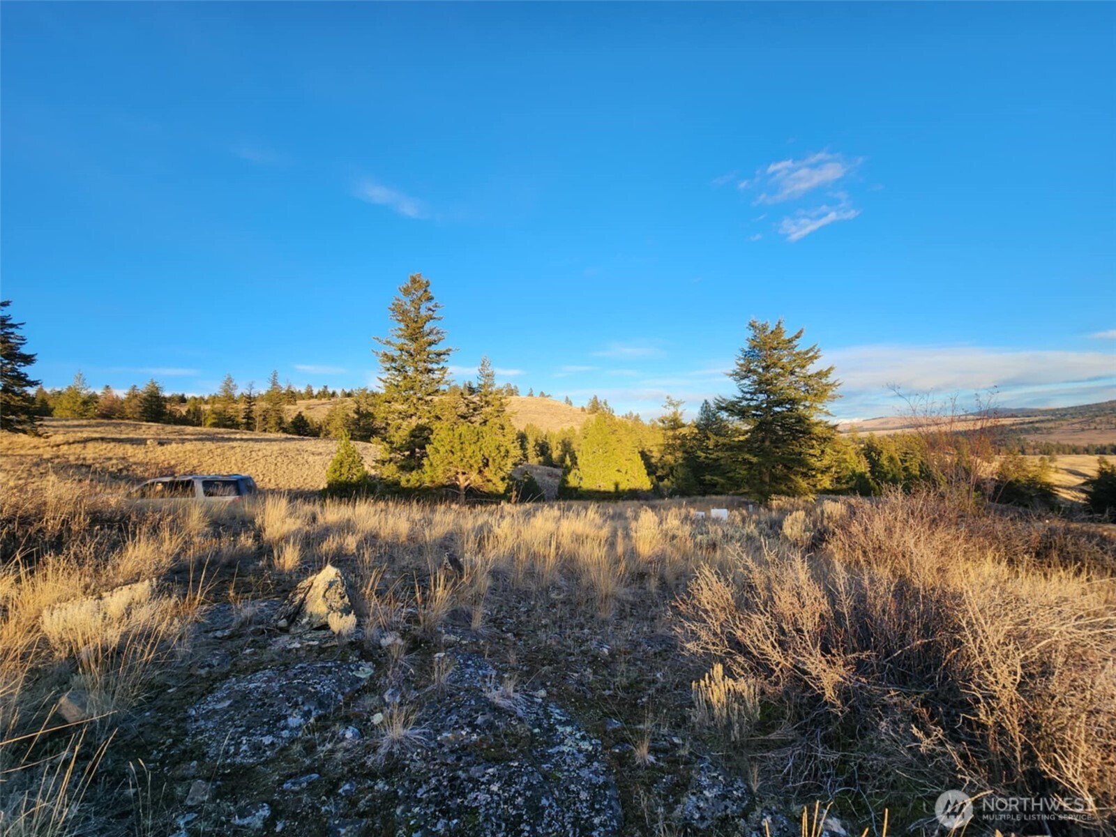 0 Blue Grouse (div 5, Lot 42) Property Photo 5
