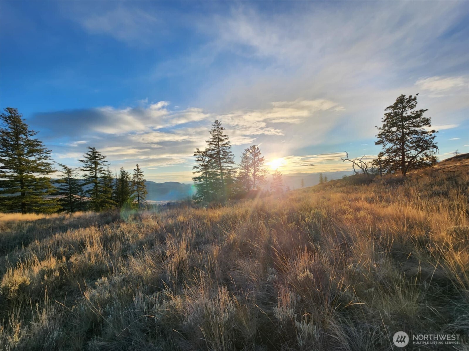 0 Blue Grouse (div 5, Lot 42) Property Photo 6