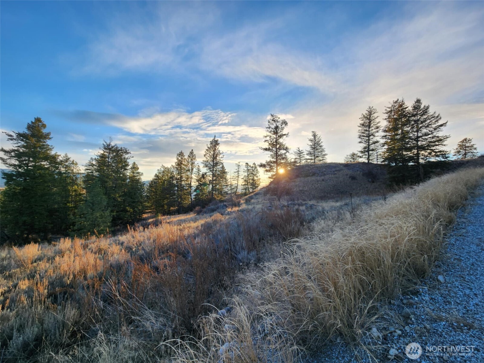 0 Blue Grouse (div 5, Lot 42) Property Photo 7