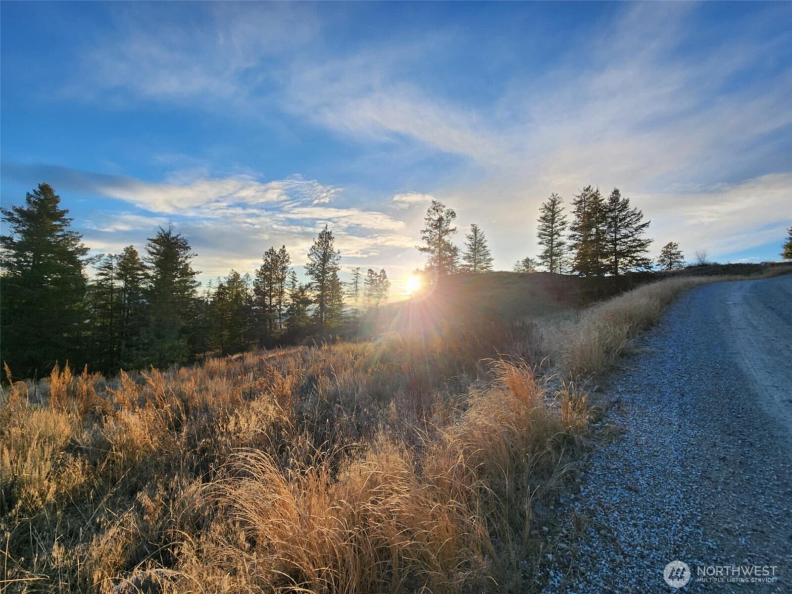 0 Blue Grouse (div 5, Lot 42) Property Photo 8
