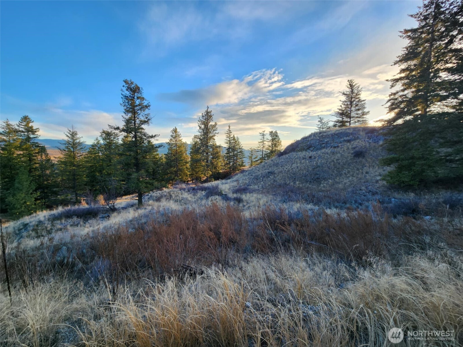 0 Blue Grouse (div 5, Lot 42) Property Photo 10