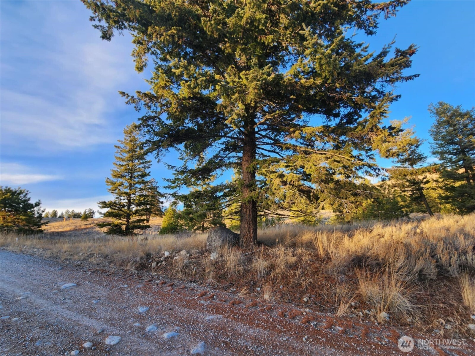 0 Blue Grouse (div 5, Lot 42) Property Photo 11