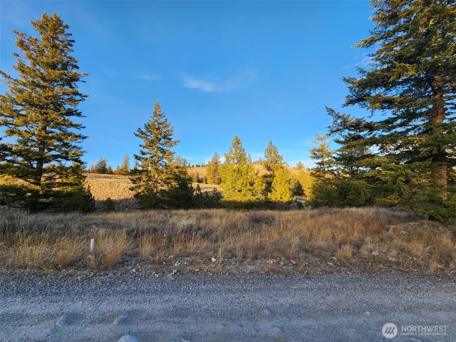 0 Blue Grouse (div 5, Lot 42) Property Photo 12