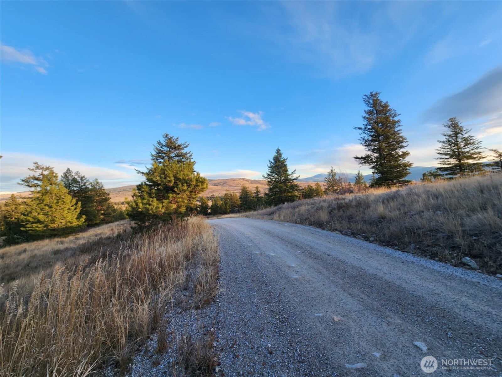 0 Blue Grouse (div 5, Lot 42) Property Photo 13