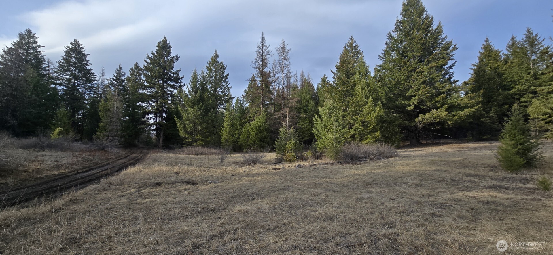 99 Prior Loop Road Property Photo 1