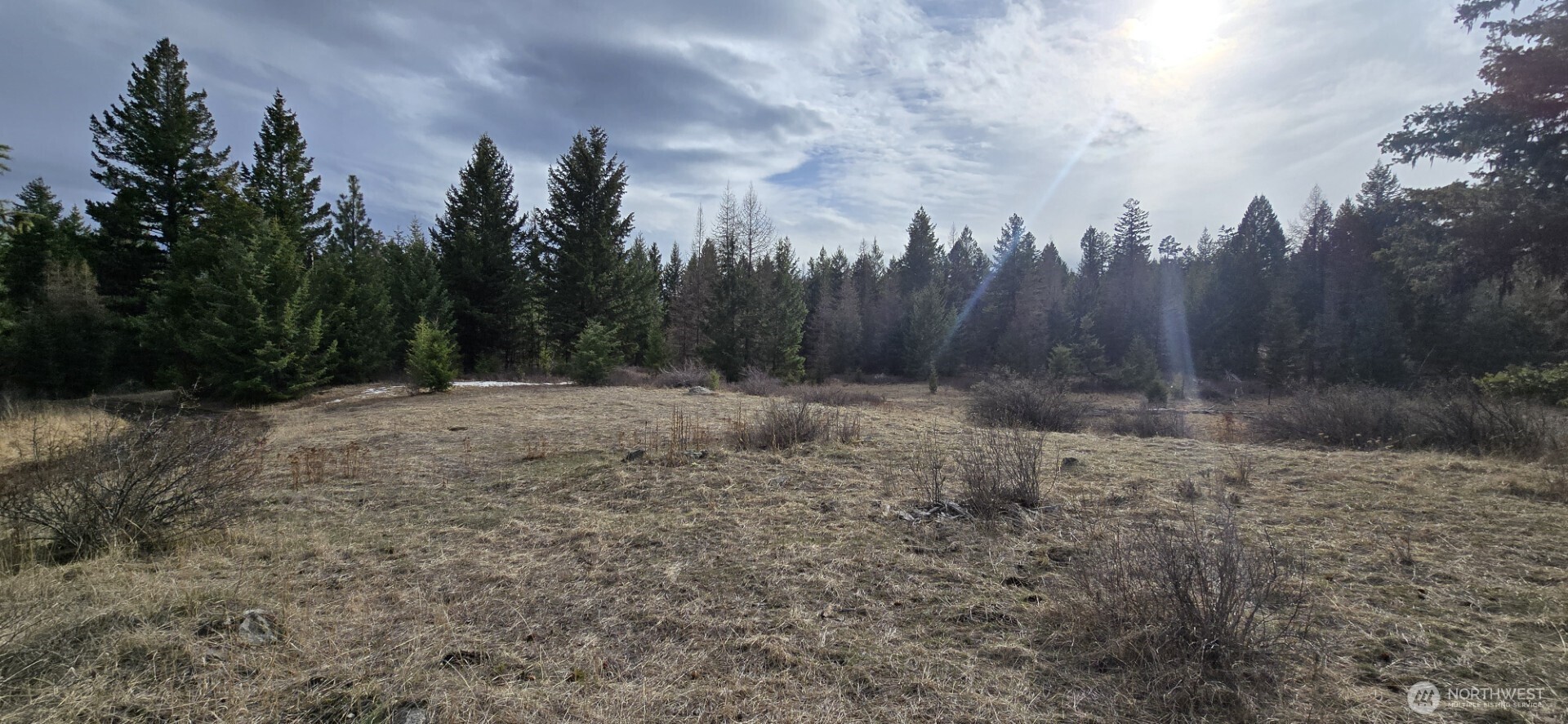 99 Prior Loop Road Property Photo 2