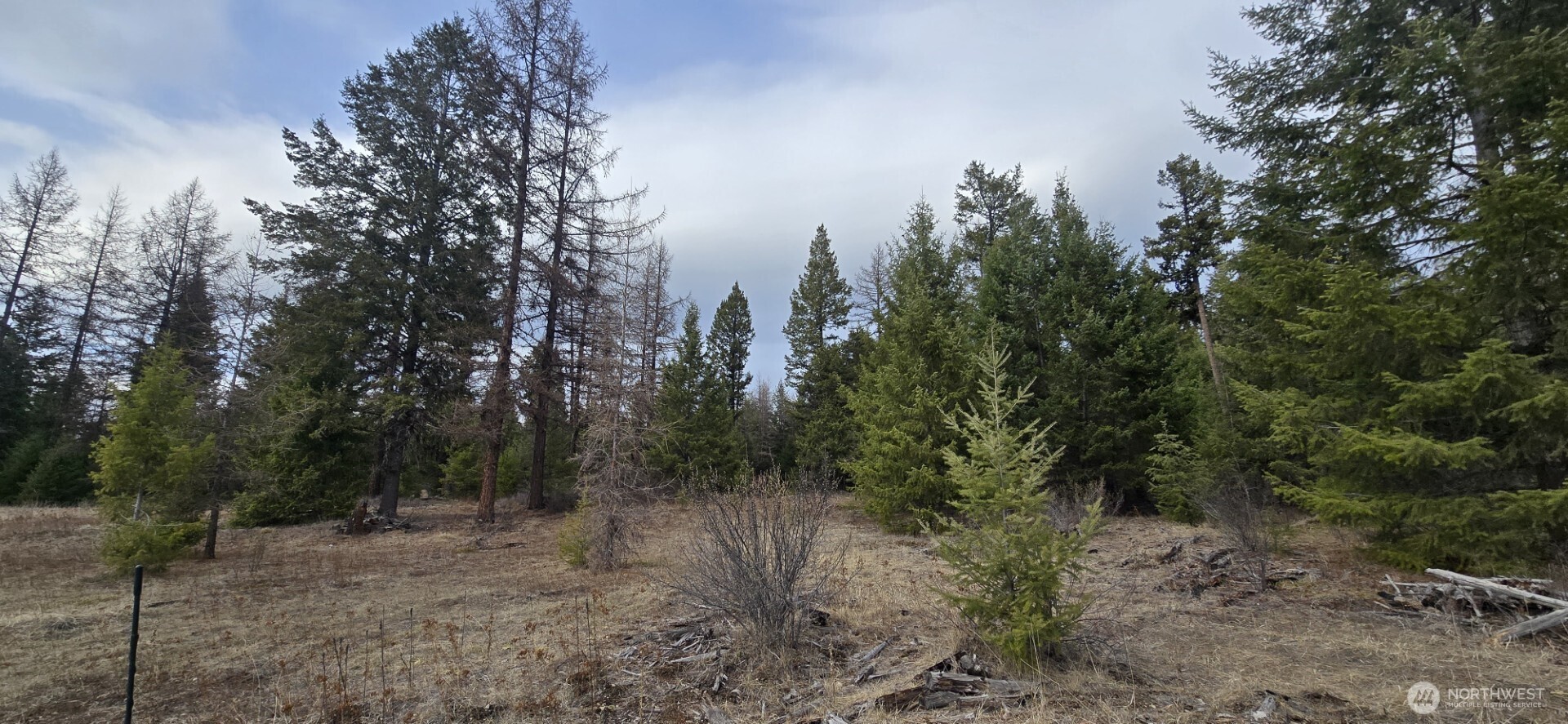 99 Prior Loop Road Property Photo 4