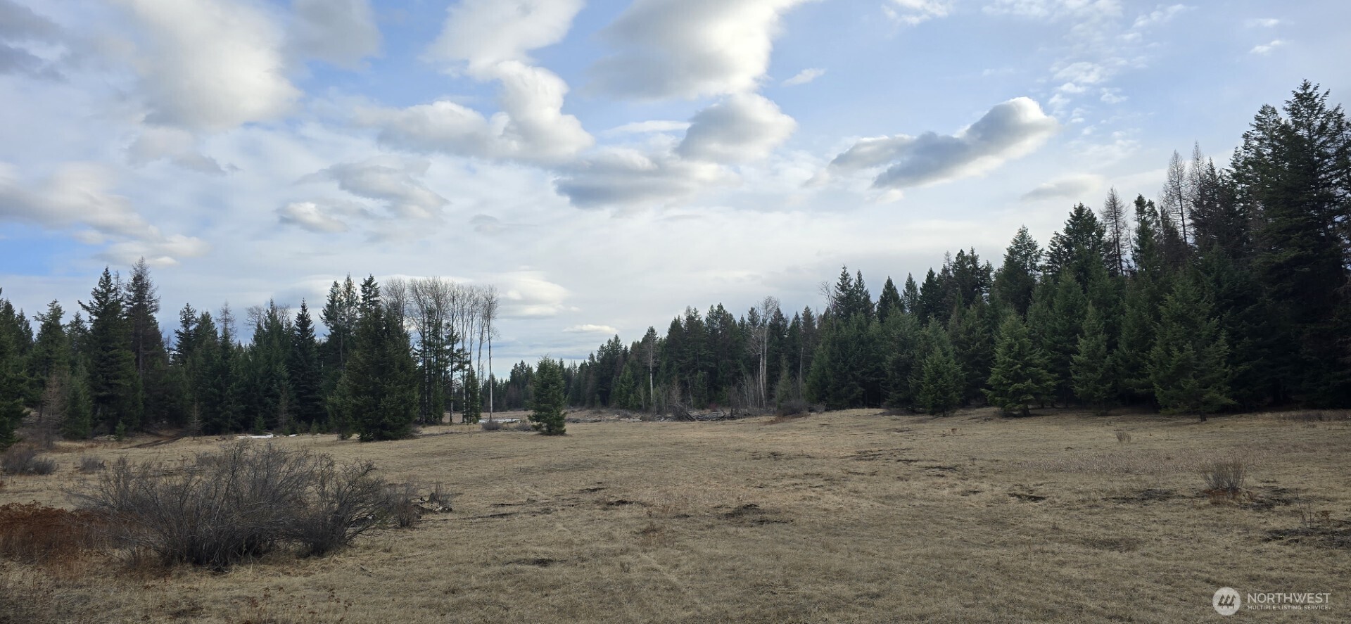 99 Prior Loop Road Property Photo 5