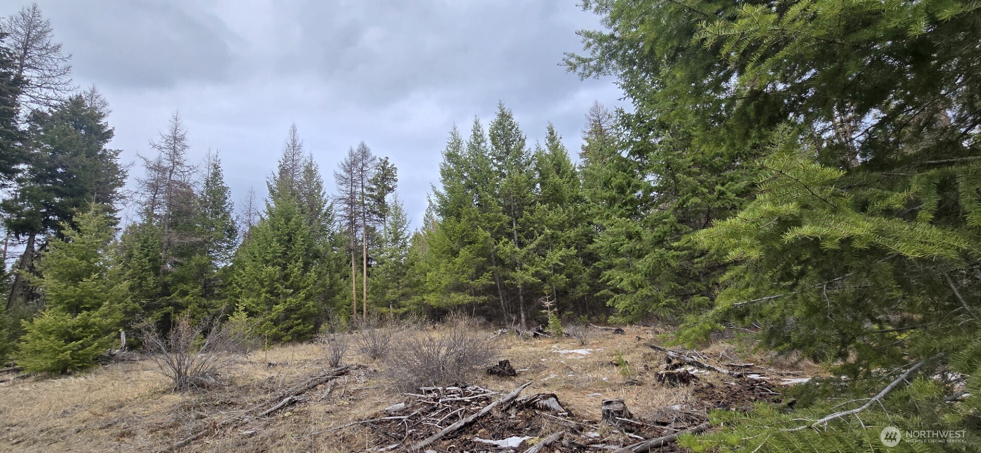 99 Prior Loop Road Property Photo 8
