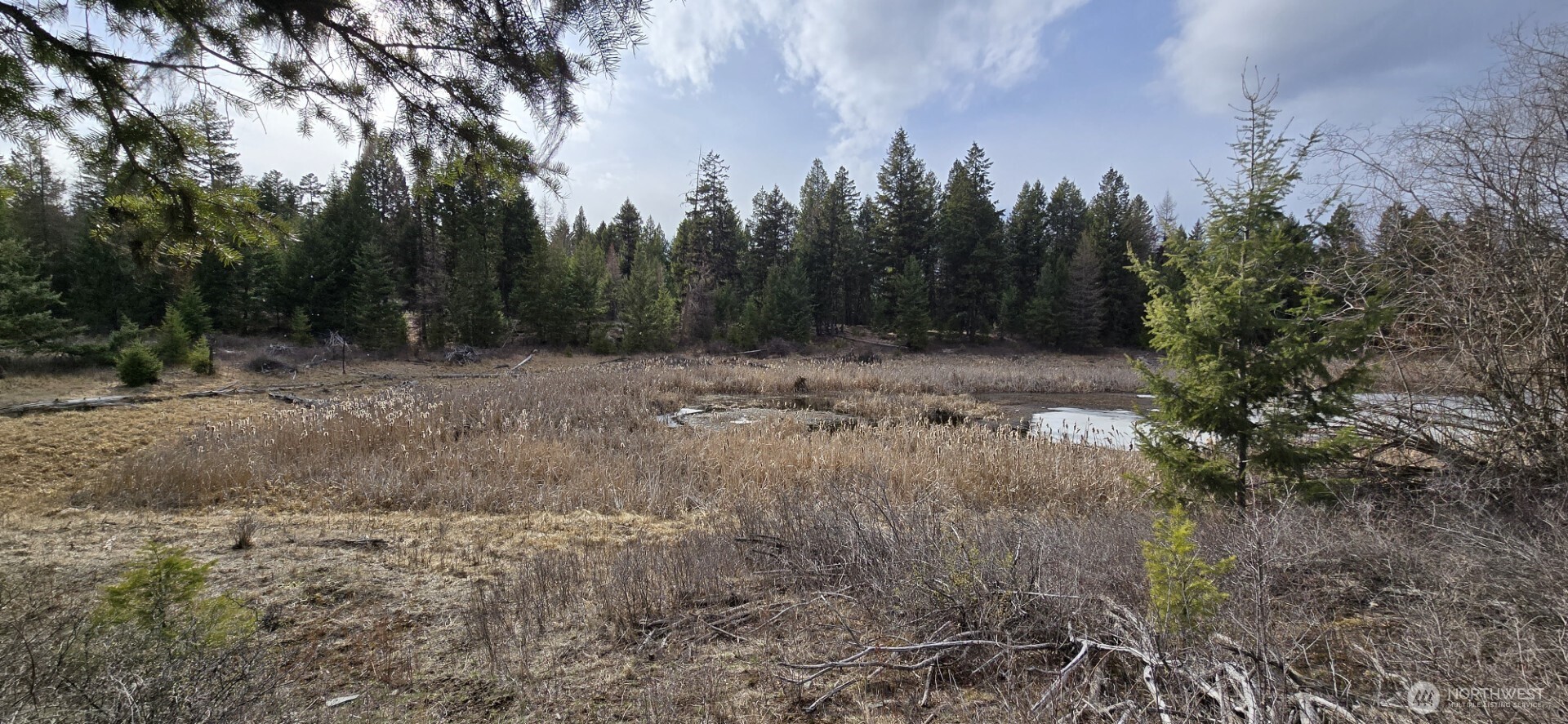 99 Prior Loop Road Property Photo 11