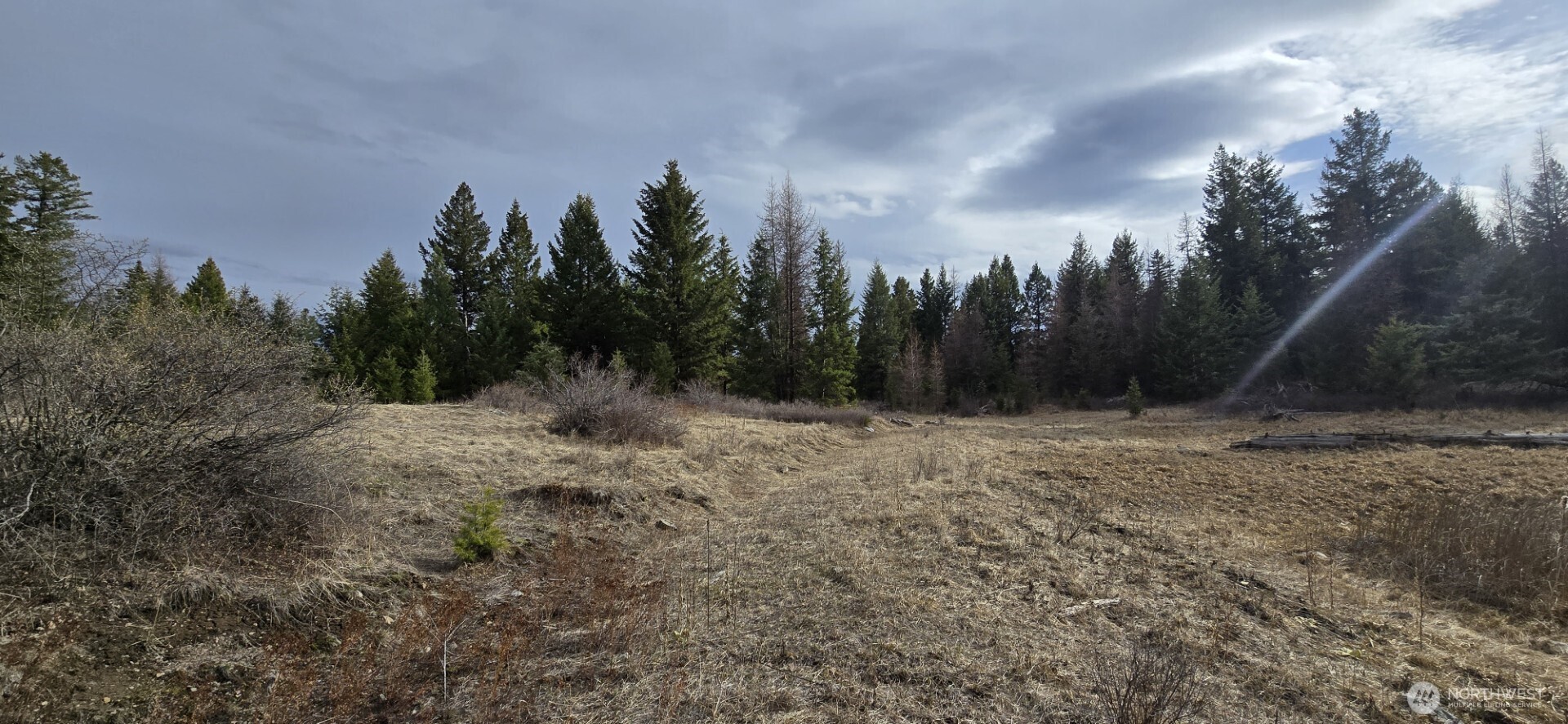 99 Prior Loop Road Property Photo 15