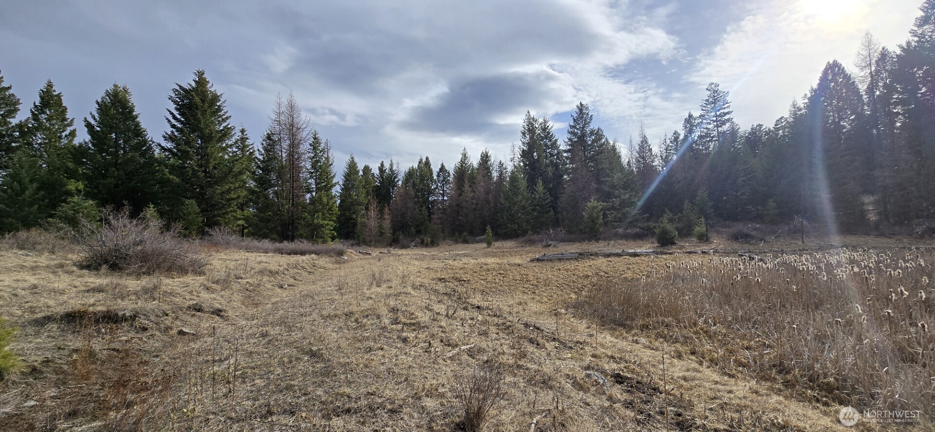 99 Prior Loop Road Property Photo 16