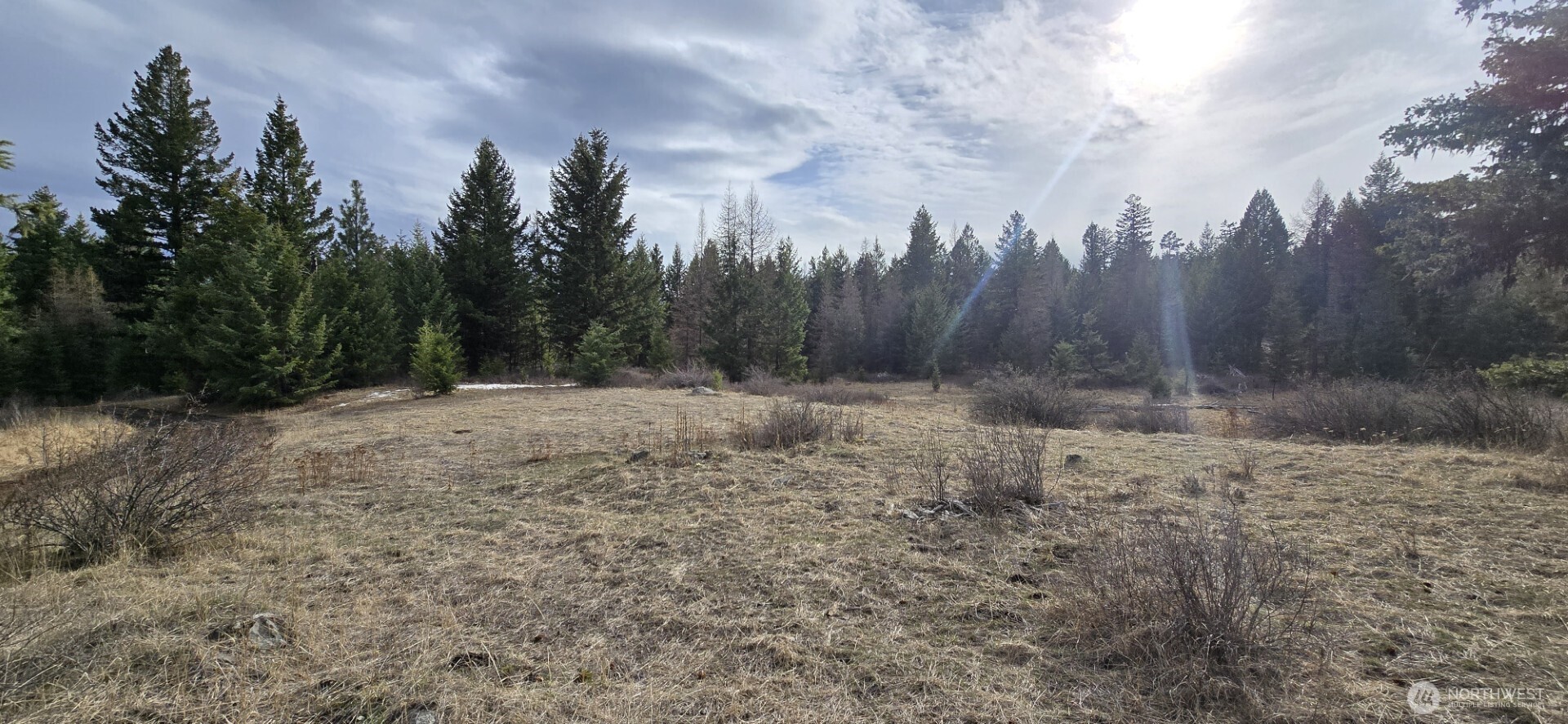 99 Prior Loop Road Property Photo 17