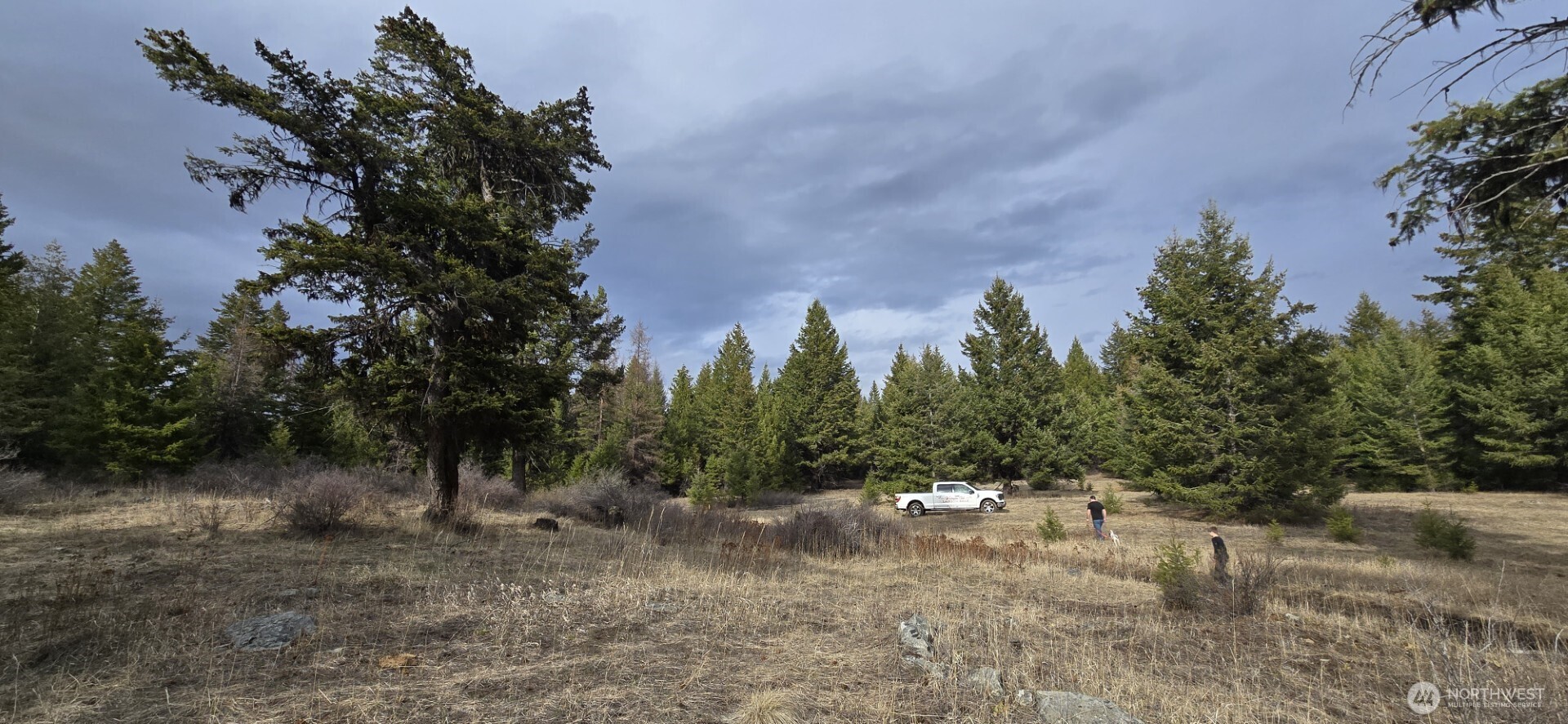 99 Prior Loop Road Property Photo 18