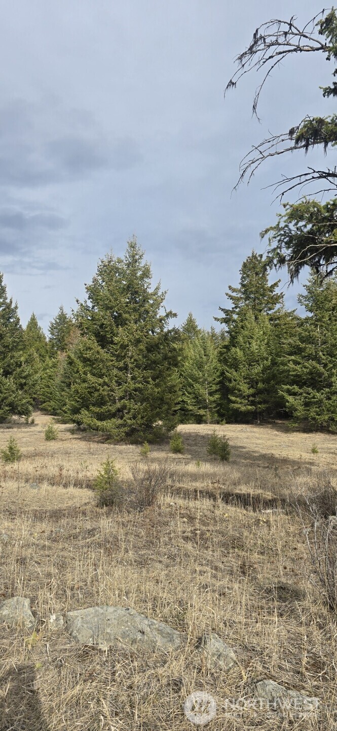 99 Prior Loop Road Property Photo 19