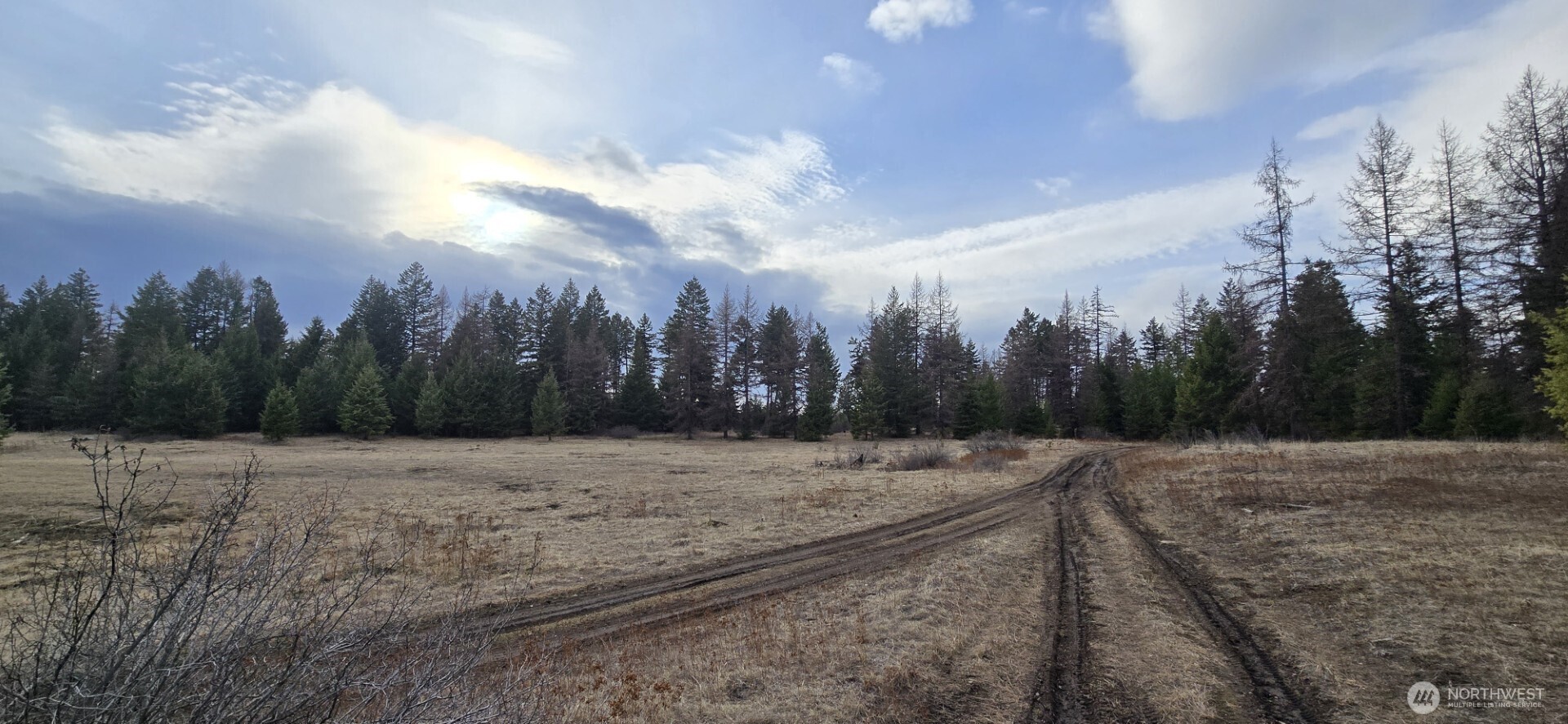 99 Prior Loop Road Property Photo 20