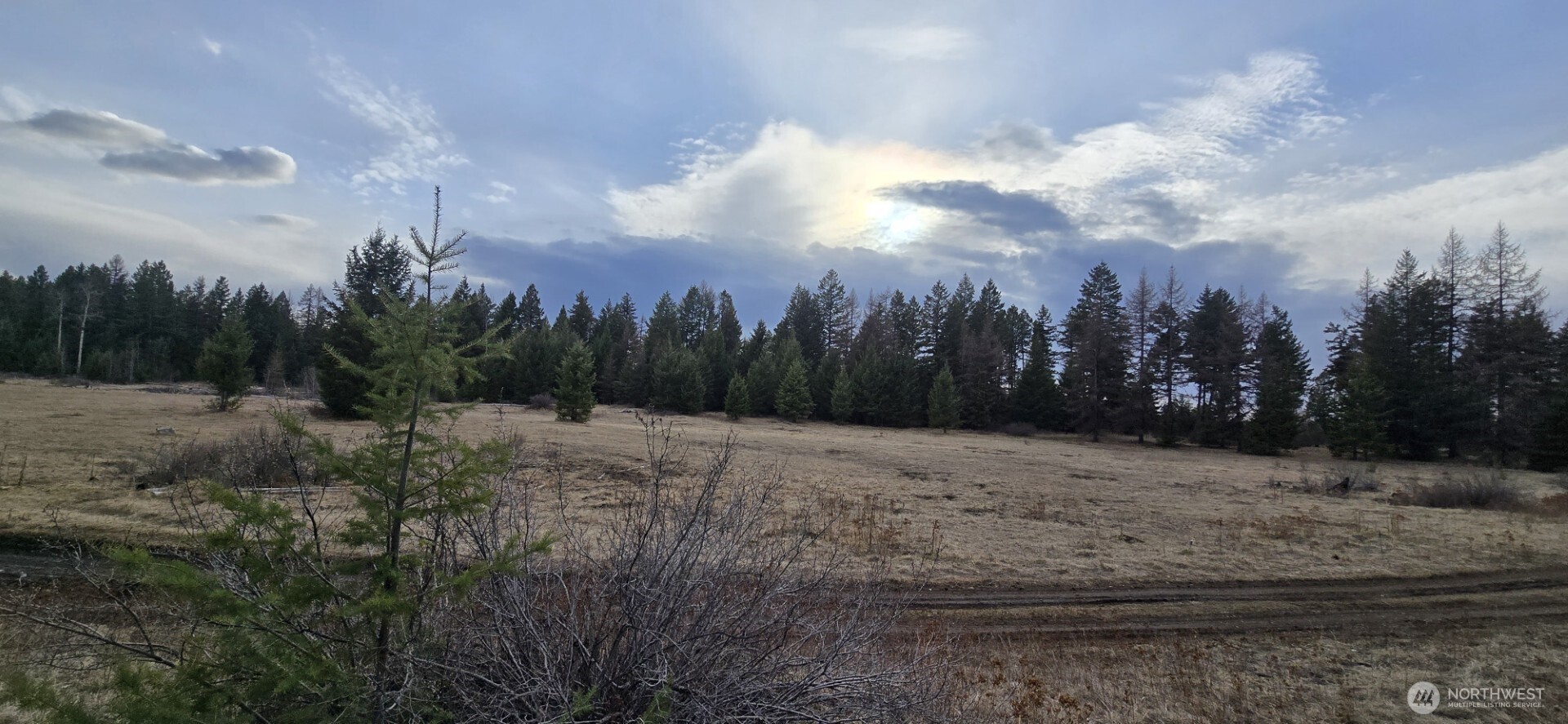 99 Prior Loop Road Property Photo 22
