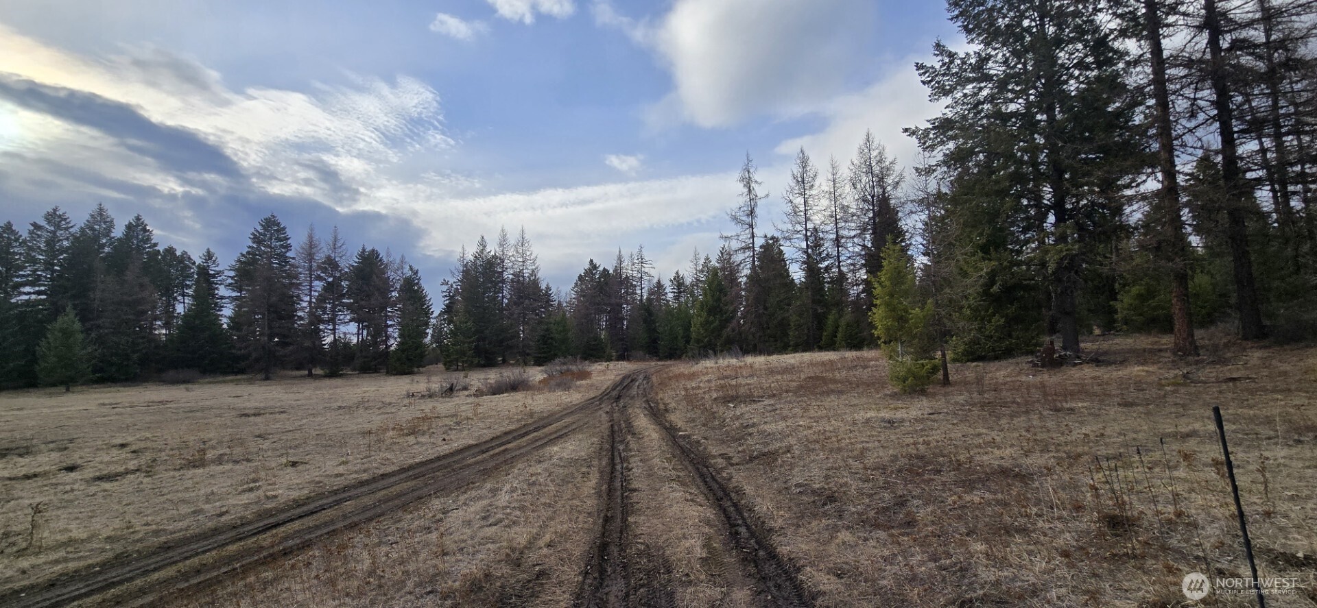 99 Prior Loop Road Property Photo 23
