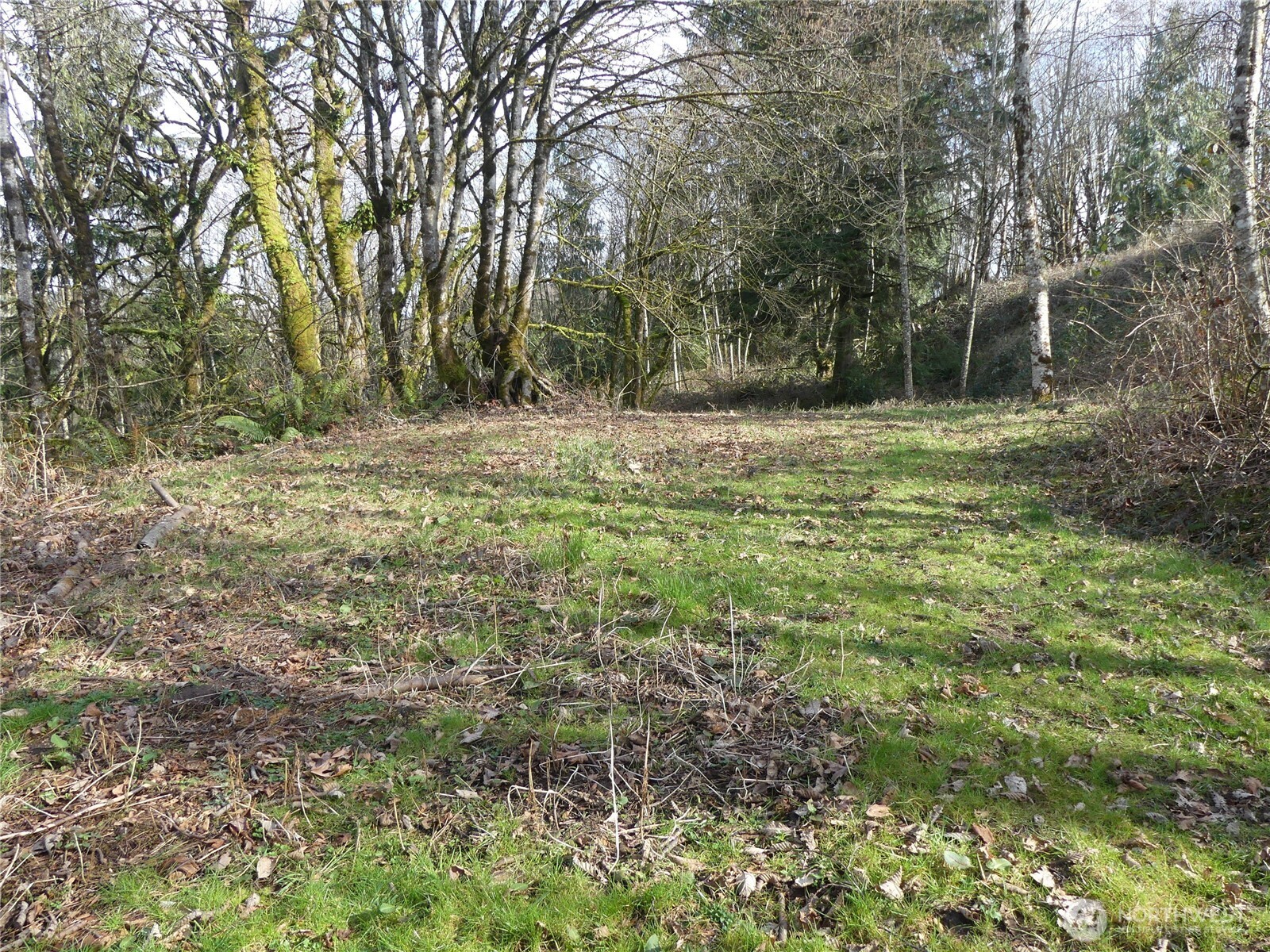 0 Horizon Drive Lot 3 Property Photo 2