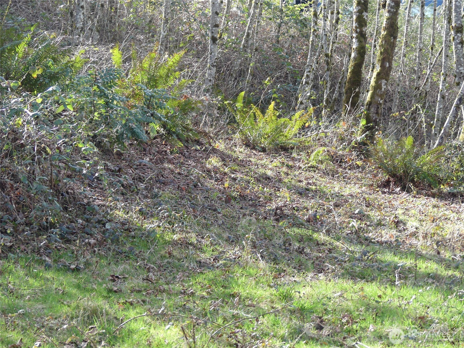 0 Horizon Drive Lot 3 Property Photo 3